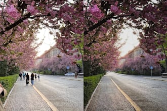 remove objects, people, or background from your photos