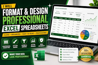 format and design professional excel spreadsheets
