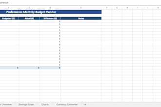 create a professional custom excel budget planner