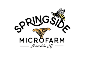 design corporate spring side micro farm logo
