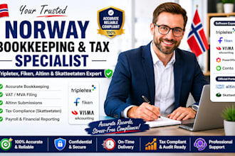 handle norway bookkeeping and tax specialist  tripletex, fiken, and skatteetaten