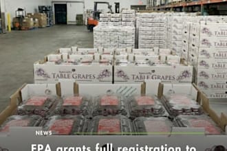 get your epa pesticide products approved registration, selling on amazon, ongoin
