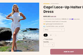 build a conversion optimized shopify dropshipping store