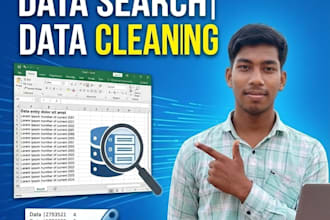 data entry data cleaning web research