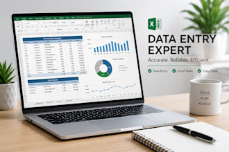 do perfect data entry, data typing, and excel data cleaning