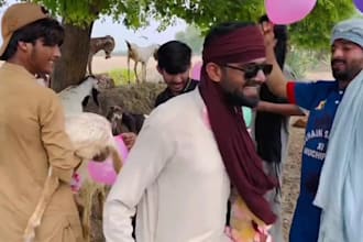 african happy birthday video african happy birthday video