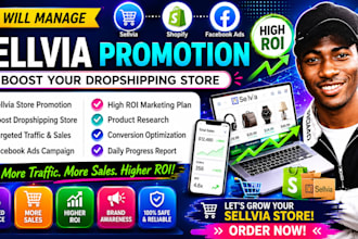 manage sellvia promotion boost dropshipping store roi ecommerce marketing plan