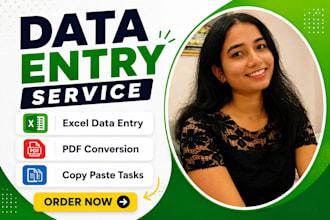 do accurate data entry, excel data entry, pdf conversion and typing