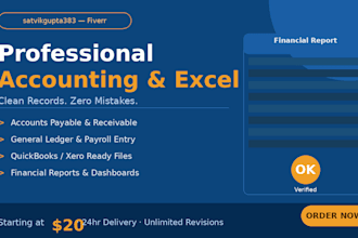 do professional accounting, bookkeeping and excel data entry for your business
