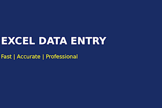 organize, clean, and format excel spreadsheets professionally