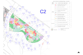 create a planting plan