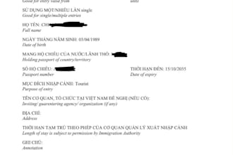 do vietnam visa application