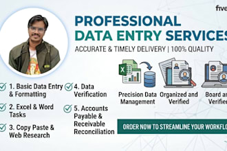 do professional data entry and ar ap reconciliation work