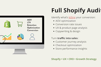 audit and optimize your shopify store