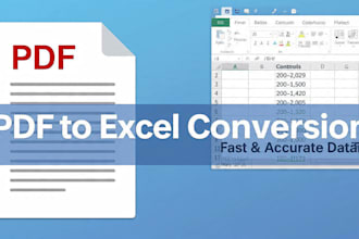 data entry excel  pdf to excel