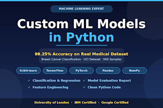 build a custom machine learning model in python