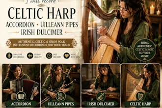 record authentic harp fiddle dulcimer bouzouki mandolin guitar banjo strings