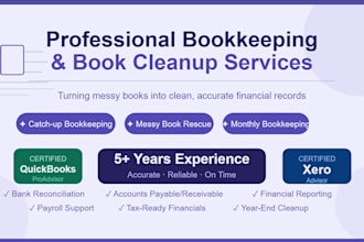 provide professional bookkeeping and accounting services