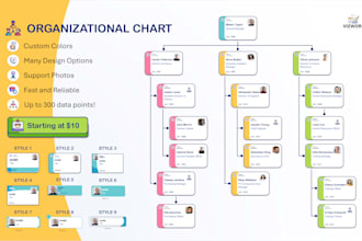 create a professional organizational chart with photo for you