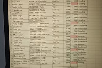 do excel data entry clean up and professional formatting in 2 hours