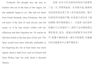 provide accurate english to chinese and chinese to english translation services