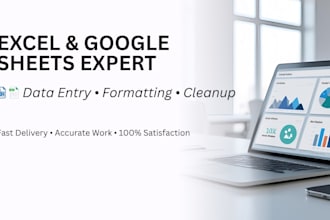 do excel and google sheets data entry, formatting and spreadsheet cleanup