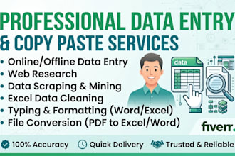 do professional data entry and copy paste work