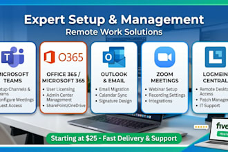 provide office 365 support