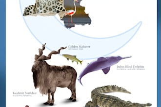 make infographic posters based on educational purpose