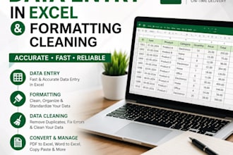 professional excel data entry services