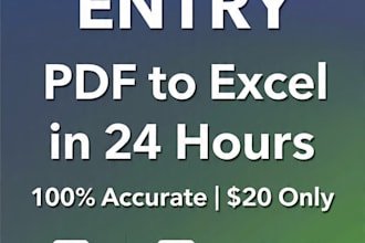 do fast data entry, excel data entry, PDF to world in 24 hours