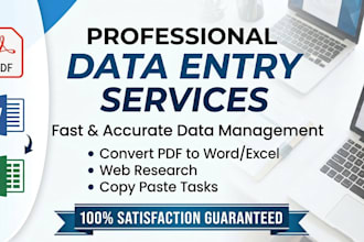 do fast data entry and convert PDF to word or exce
