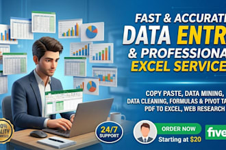 do professional excel data entry, data cleaning