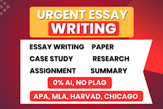 do essay writing as essay writer expert