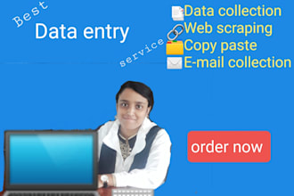 do accurate data entry, data collection, exel data cleaning