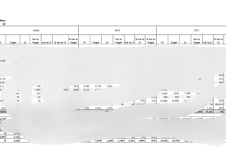 build advanced excel dashboards, financial reports and KPI trackers