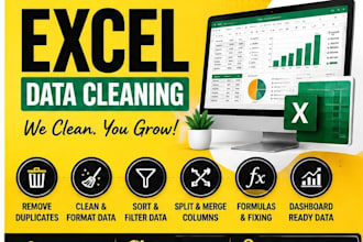 clean, format, merge, and organize excel data professionally