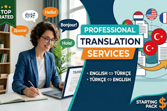 provide professional english to turkish