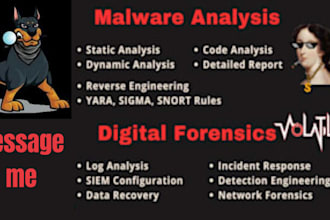 do malware analysis, log analysis and email forensics