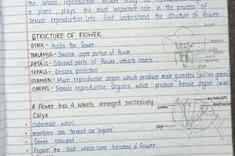 write neat handwritten notes and assignments