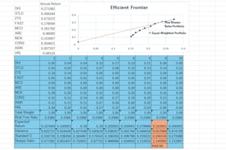 build an investor ready financial model and valuation
