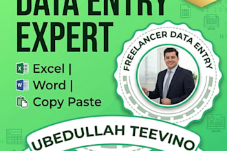 do professional excel data entry, word and copy paste work accurately
