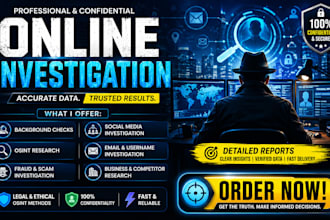 provide professional online investigation, osint research