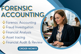 do forensic accounting, fraud investigation,asset tracing and financial analysis