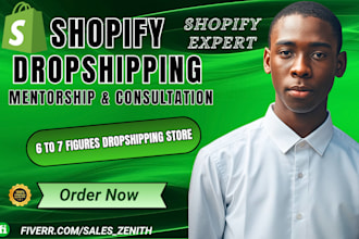 shopify dropshipping mentor, shopify coach, ecommerce consultant and expert