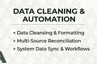 perform data quality analysis, cleaning and automation