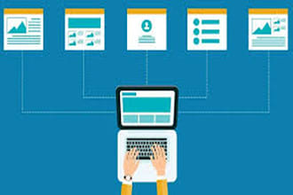 do data entry and copy paste work accurately