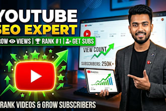 professional youtube SEO expert  grow views rank videos gain subscribers