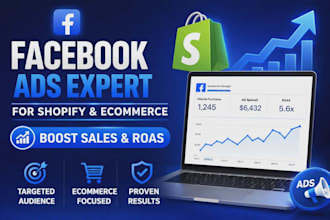 create high converting fb, instagram ads campaign for shopify dropshipping store