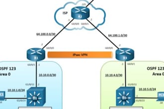 configure and administer computer networks and servers